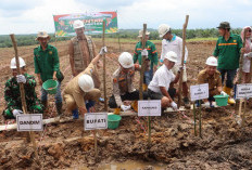 Forkopimda Tanam Jagung Secara Serentak