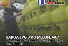 Harga LPG 3 Kg Melonjak? Pertamina Patra Niaga Ungkap Fakta dan Solusi!