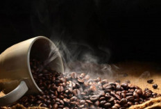 Kafein dan Tidur: Bagaimana Konsumsi Pagi Memengaruhi Kualitas Tidur Anda