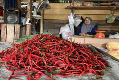 Harga Cabai Rawit Hijau di Empat Lawang Naik Tipis, Komoditas Lain Stabil