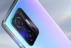 6 HP Xiaomi Resmi Stop Update! Apakah Ponsel Kamu Termasuk?