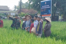 TNI AU Gandeng Pemkab OKU Timur