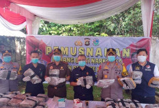 Ganja 35 Kg Dibakar di Incinerator RSUD Martapura