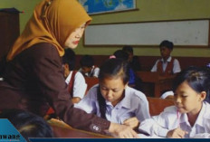 200 Ribu Lebih Guru Belum Sarjana, Kemendikdasmen Siapkan Afirmasi Besar-Besaran hingga 2029