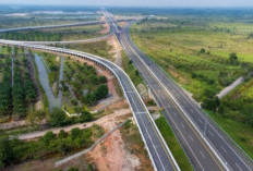 Tol Betung-Jambi Seksi 4 Capai 80% Progres, Siap Pangkas Waktu Tempuh Jambi-Sumsel