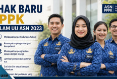 7 Hak Baru PPPK dalam UU ASN 2023, Benarkah Kini Setara dengan PNS?