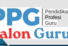 Resmi Dibuka! Pendaftaran PPG Calon Guru 2025: Syarat, Jadwal, dan Jurusan yang Bisa Diikuti