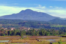 Gunung Tertinggi di Sumedang Ini Sembunyikan Jejak Prabu Siliwangi, Cuma Rp5.000 Bisa Naik!
