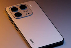 Desain Baru Xiaomi 16 Bocor: Compact, Powerfull, dan Makin Premium