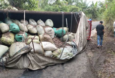 Truk Bermuatan 10 Ton Kulit Kemiri Terbalik