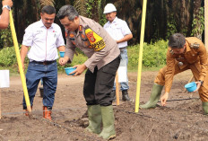 Dukung Ketahanan Pangan, Kapolres Muba Bersama PT Gatri Tanam Jagung