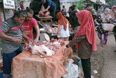 Harga Bahan Pokok Masih Terpantau Normal