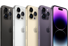 iPhone 14 Pro RAM 256GB Dikabarkan Anjlok,ini Update Harga Terbarunya!