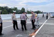 Mengalami Microsleep di Tol Permai, Tiga Penumpang MPV Tewas, Dua Luka Ringan