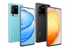 Vivo V35 5G: Smartphone “Ilmu Padi” yang Diam-Diam Bikin Flagship Malu!