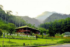 Wisata Gunung Kawi, Dari Ritual Pesugihan hingga Keindahan yang Menenangkan Jiwa