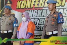 Direktur Ditangkap atas Kasus Penipuan dan Penggelapan Dana Miliaran Rupiah 