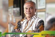 Penembakan Pilot Selandia Baru di Papua: KKB Pertegas Eksistensi dengan Teror dan Implikasi Sosial