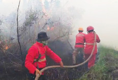 6 Daerah Zona Merah Karhutla di Sumsel