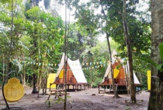 Wisata Talisayan Siap Jadi Destinasi Favorit! Pemkab Berau Gencarkan Pengembangan