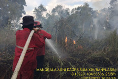 BPBD Catat Karhutla di Sumsel Capai 24 Kasus Hingga Juli 2025