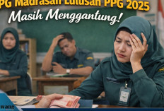 TPG Madrasah Lulusan PPG 2025 Masih Menggantung! Kemenag Buka Suara Soal Tunjangan Januari–Februari 2026