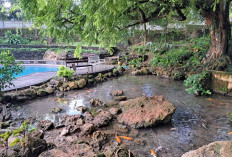 Viral! Wagos Gresik, Surga Tersembunyi Tiket 10 Ribu yang Bikin Foto Kamu Seestetik Influencer