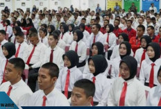 Cara Daftar Magang Nasional 2025: Dapat Uang Saku Setara UMR Rp 3,3 Juta Per Bulan