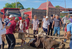 Masjid Az Zahro Talang Banyu Sukses Gelar Kurban Perdana/// Terima 3 Ekor Sapi dari Warga