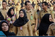 Jika Penataan 2026 Berjalan Lancar, Ini Daftar Hak Baru yang Bisa Diterima Guru Honorer