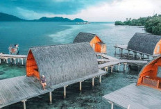 Menikmati Keindahan Bawah Laut Pulau Pahawang, Destinasi Wisata Lebaran 2025 yang Wajib Dikunjungi