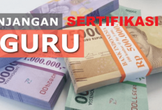 TPG Tak Stabil, Guru Kehilangan Rasa Aman Ekonomi di Tengah Tekanan Mengajar yang Kian Berat