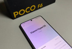 Cuma Rp4 Jutaan, Poco F6 Ternyata Masih Gahar di 2025! Benarkah Selevel Flagship Premium?