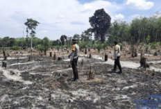 Polsek BTS Ulu Tanggap Cepat Atasi Kebakaran Lahan di Desa Lubuk Pauh, Musi Rawas