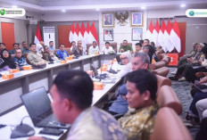 Sumsel Gaspol Cetak Sawah 150.000 Hektar!
