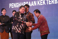 Sumsel Terima Apresiasi Proyek Strategis Nasional