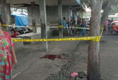 Penyerangan Brutal di Pasar Satelit, Korban dan Pelaku Masih Satu Desa