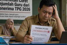 Resmi! Pemerintah Coret Sejumlah Guru dari Penerima TPG 2026, Ini 8 Kriteria yang Wajib Diketahui