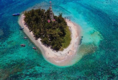 Menikmati Keindahan Bawah Laut Pulau Tikus di Bengkulu