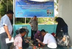 Minyak Jelantah Disulap Jadi Lilin Cantik!