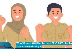 Wow! Dibuka 400 Ribu Formasi CPNS 2025, Berikut Syarat dan Jadwalnya!