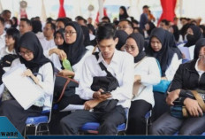 BKN Tegaskan Tak Ada CPNS 2025, Tapi 2026 Berpeluang Dibuka! Ini Daftar Syarat dan Dokumen yang Wajib Disiapka