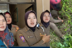 TERKUAK! Saksi Mata Ungkap Detik-Detik Penemuan Bayi Malang di Semak Belukar Empat Lawang