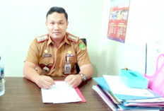 Targetkan Pelantikan PPPK Tahap 1  Akhir Mei 2025