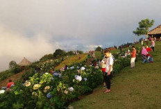 3 Rekomendasi Wisata Pendidikan di Manado