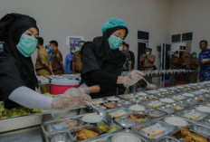 Peluang Emas! Pemerintah Buka Lowongan CPNS untuk Program Makan Bergizi Gratis di Seluruh Indonesia