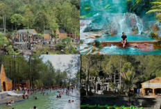 Nimo Jungle Hot Spring: Destinasi Wisata Eksotis di Tengah Hutan Ciwidey, Bandung