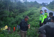 Mobil Daihatsu Ayla Masuk Jurang di Empat Lawang, Dua Penumpang Alami Luka Ringan