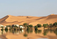 Kejutan di Tengah Gurun! Hujan Badai Ciptakan Danau Dadakan di Sahara