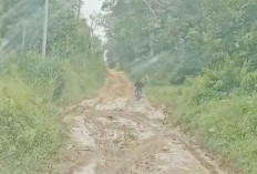 Jalan Cengal Berlumpur Seperti Kubangan Kerbau